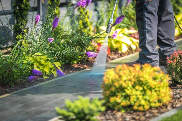 Best Pool Deck Cleaning  in San Bruno, CA